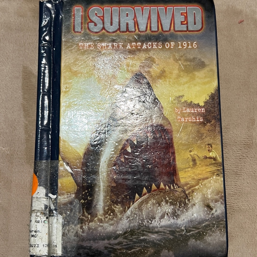 I Survived Book Collection - Picture 9 of 10